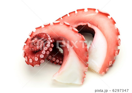 茹で蛸 6297347