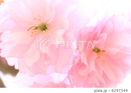 カンザン カンザン 6297349