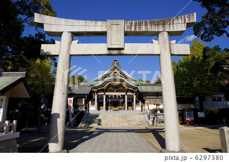 亀山八幡宮鳥居より境内 6297380