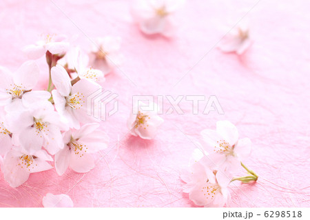 桜左・和紙P02の写真素材 [6298518] - PIXTA