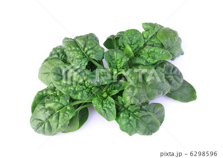 チヂミホウレンソウ 6298596