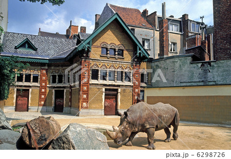 アントワープ動物園 6298726