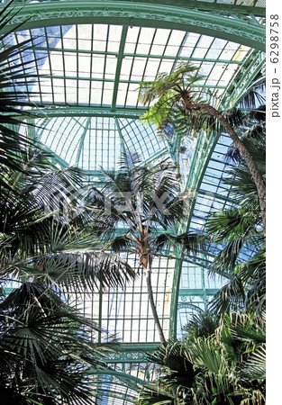 ベルギー王室の温室 6298758