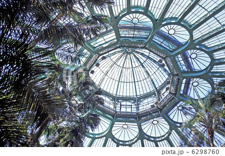 ベルギー王室の温室 6298760