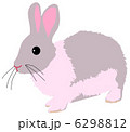 うさぎ 6298812