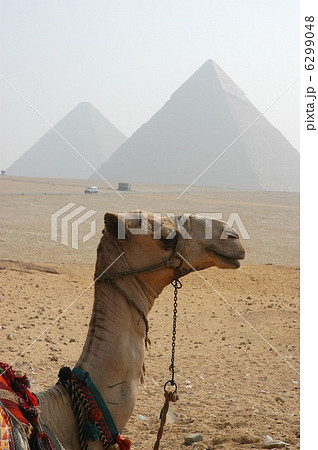 2007年 ギザのピラミッド 2007年 ギザのピラミッド 6299048