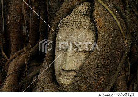 アユタヤ アユタヤ 6300371