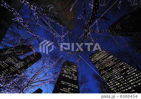 夜景　 6300454