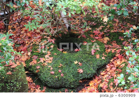 京都嵐山の大河内山荘 6300909