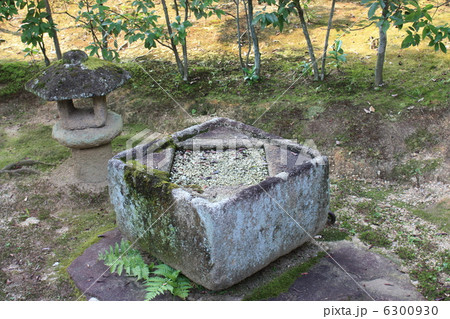 桂離宮の蹲 6300930