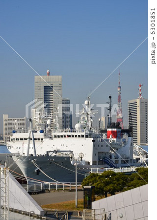 晴海埠頭公園の海鶯丸 6301851