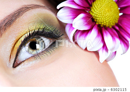 Spring make-up Spring make-up 6302115
