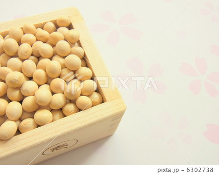 節分 節分 6302738