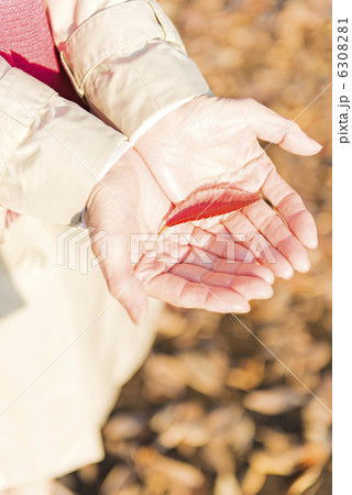 シニア夫婦と孫 シニア夫婦と孫 6308281