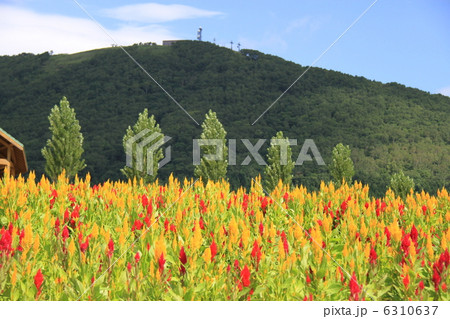 留寿都村の道の駅～230ルスツ 6310637