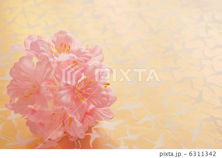 春　羽ばたく 6311342