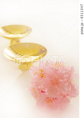 金杯 桜 金杯 桜 6311347