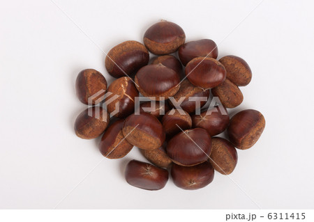 クリの実 6311415