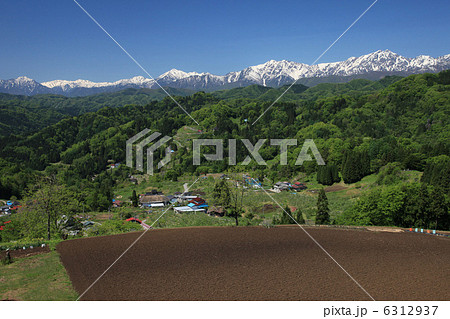 小川村から見る初夏の里山と北アルプス 6312937