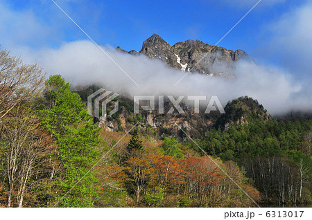 鏡池から見る戸隠山の西岳と新緑 6313017