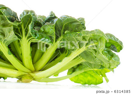中国野菜_ ターサイ 中国野菜_ ターサイ 6314385