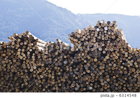林業 木材用地 建築用材 用材イメージ 林業 木材用地 建築用材 用材イメージ 6314548