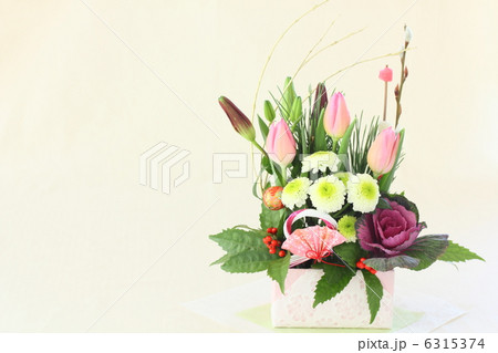 正月　迎春　花 6315374