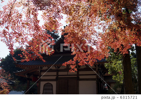 赤山禅院　紅葉 6315721
