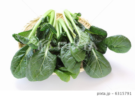 ちぢみ菜 6315791