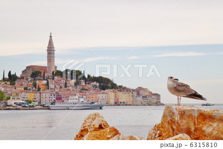 クロアチア・ロヴィニ クロアチア・ロヴィニ 6315810