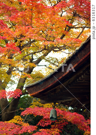 善峰寺 善峰寺 6316317