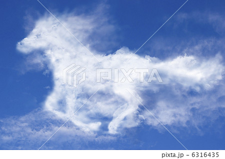 午雲 6316435