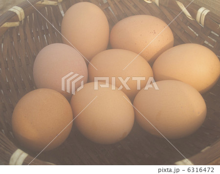 温泉玉子 6316472