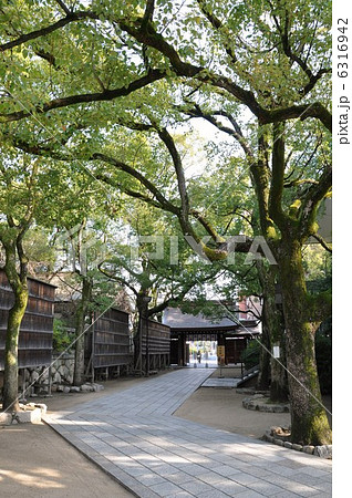 湊川神社 6316942