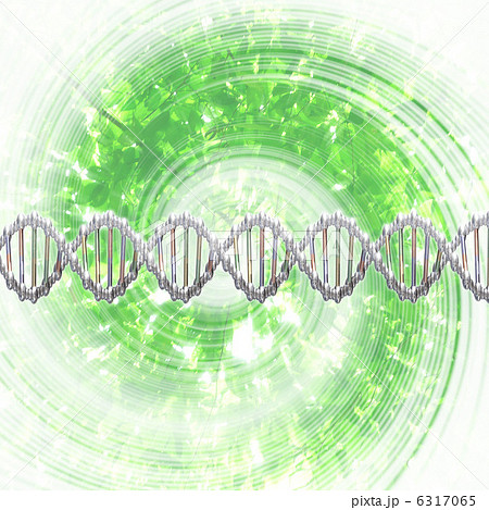 DNA・遺伝子配列イメージ 6317065