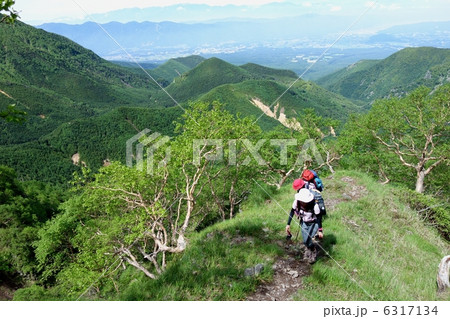 八ヶ岳クライミング 八ヶ岳クライミング 6317134