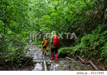 雨の日の尾瀬ヶ原トレッキング 雨の日の尾瀬ヶ原トレッキング 6317995
