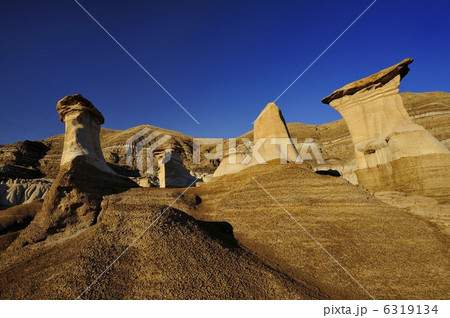 フードゥー フードゥー 6319134