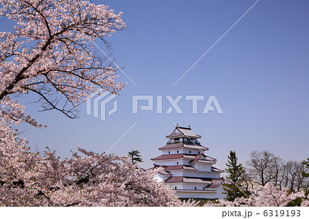福島県会津若松市　鶴ヶ城と桜 6319193