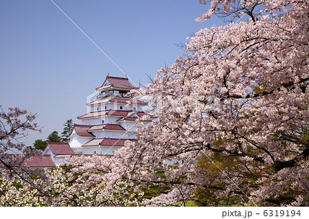 福島県会津若松市　鶴ヶ城と桜 6319194