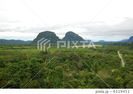 ムル山（グヌン・ムル国立公園／東マレーシア･ボルネオ島） 6319451