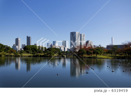 浜離宮庭園 6319459