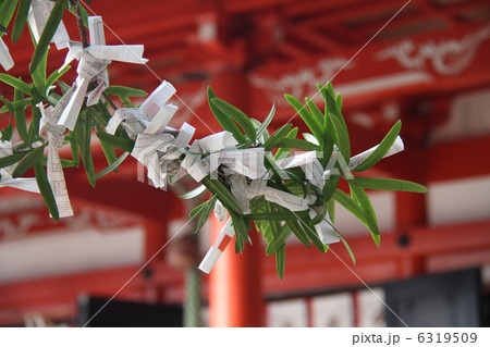 おみくじ 6319509