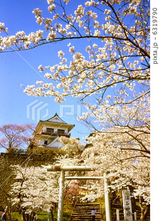 涌谷城と桜 涌谷城と桜 6319790