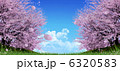 桜 6320583