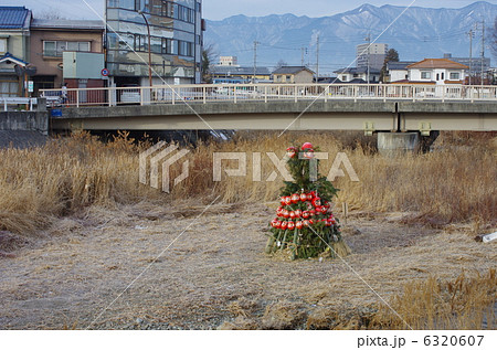 信州 松本地方のどんと焼き 信州 松本地方のどんと焼き 6320607