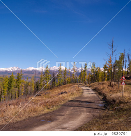 Taiga road 6320794