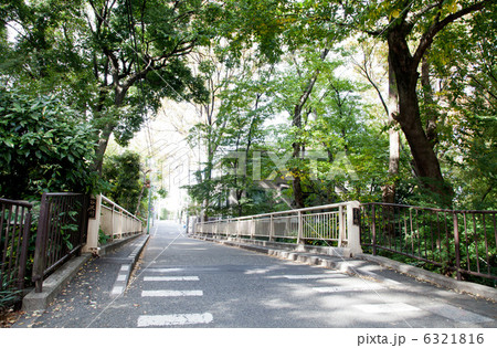 緑豊かな等々力渓谷 6321816