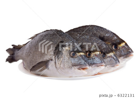 Four dorado fish on white dish isolated on white 6322131