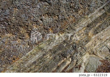 豆岩：れき（礫）岩・砂岩の地層 6322319